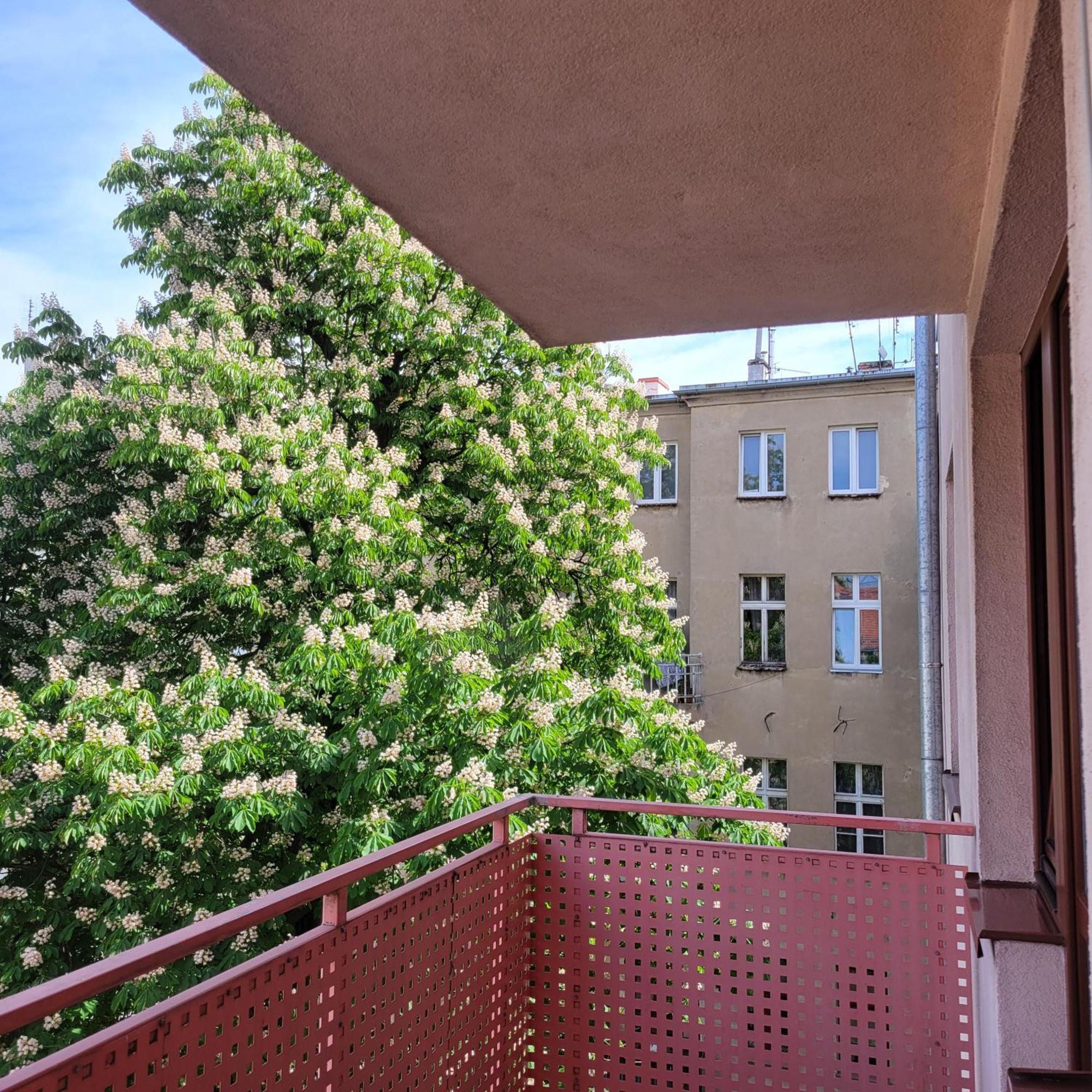 Aura Apartment Breslavia Esterno foto